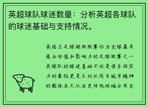 英超球队球迷数量：分析英超各球队的球迷基础与支持情况。